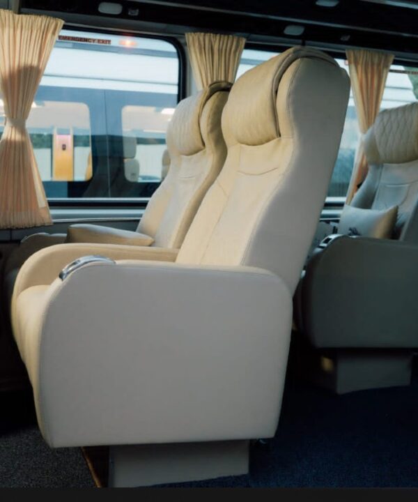 Force Urbania Customized Luxury Tempo - Image 4